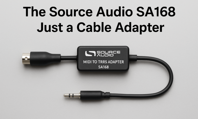 The Source Audio SA168 Just a Cable Adapter