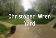 Christopher Wren Yard