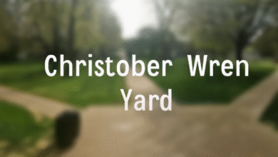 Christopher Wren Yard