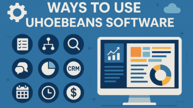 Ways to Use Uhoebeans Software